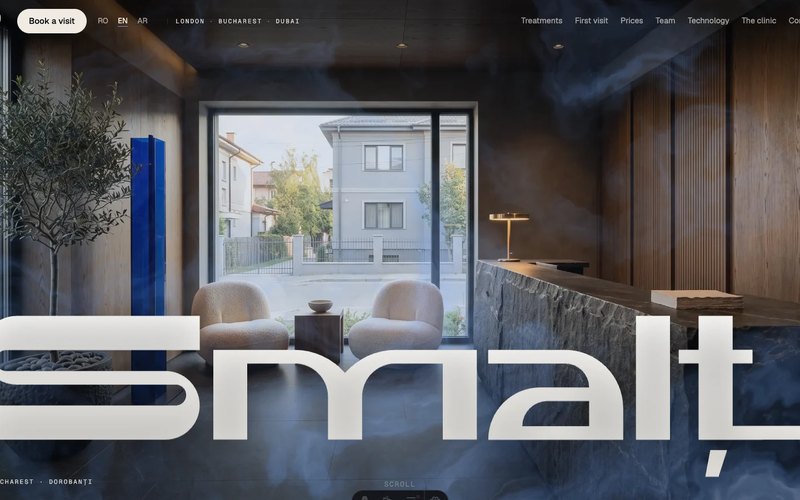 Smalț Dental clinic concept · Alkeme Design