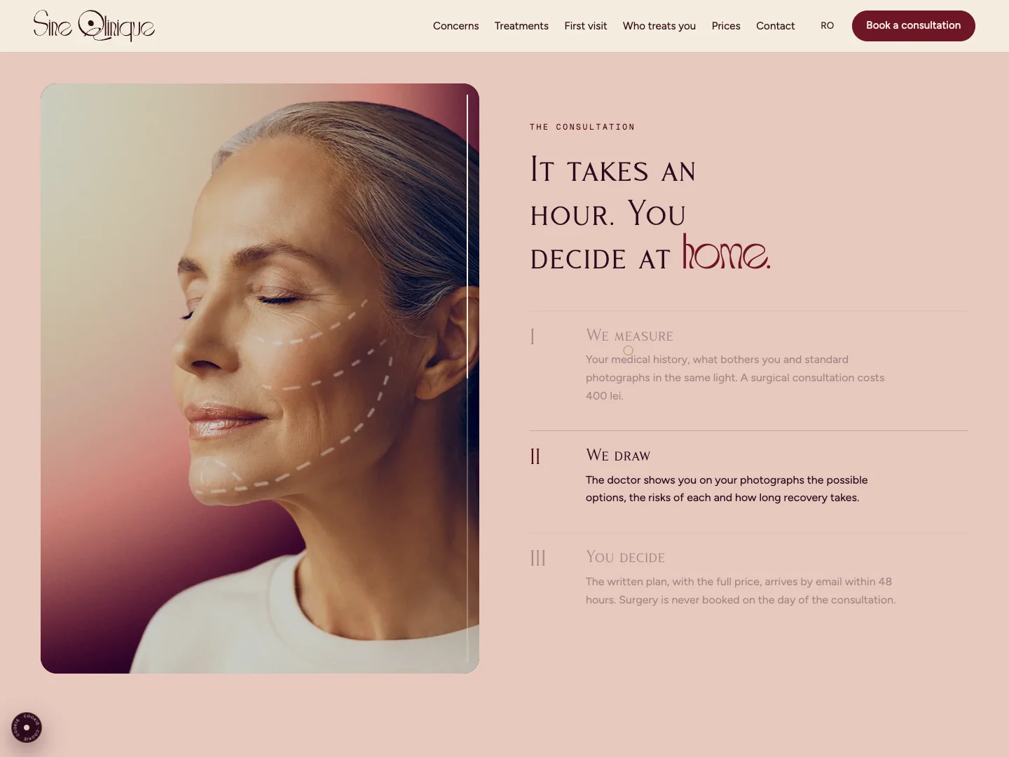 Sine Qlinique Website: the homepage · Alkeme Design