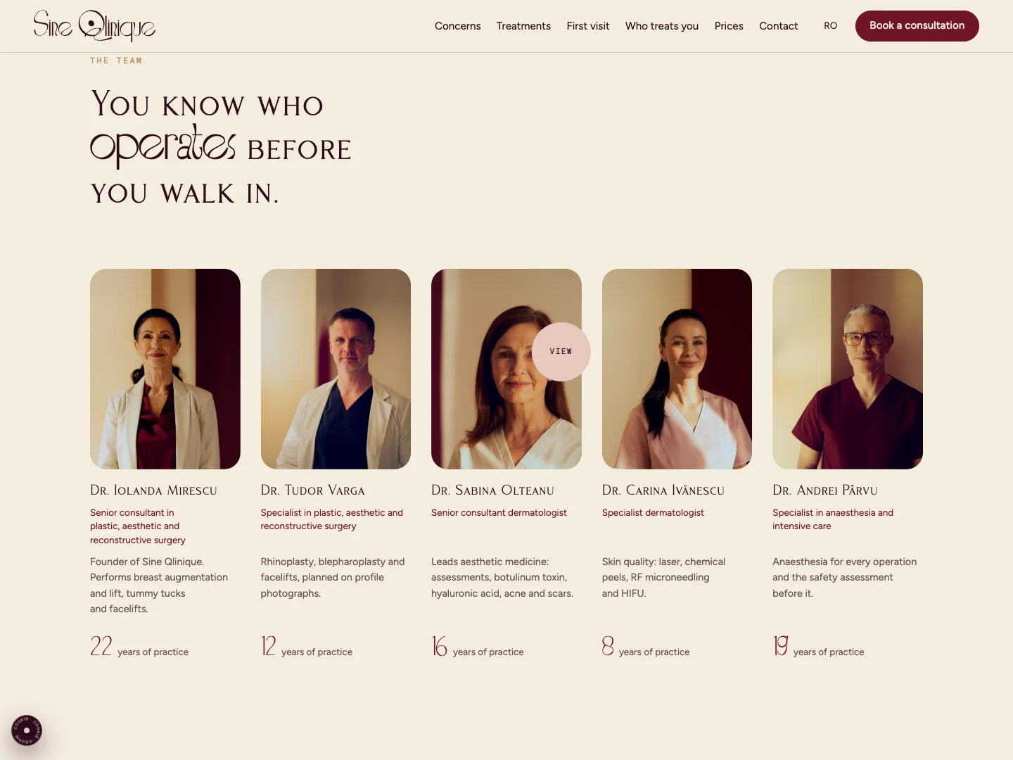 Sine Qlinique Website: the homepage · Alkeme Design